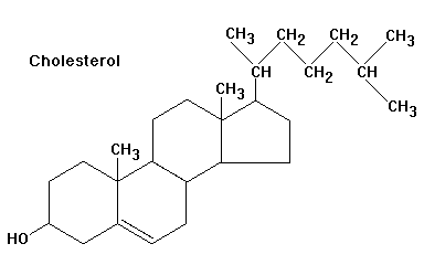 Steroid structure and function